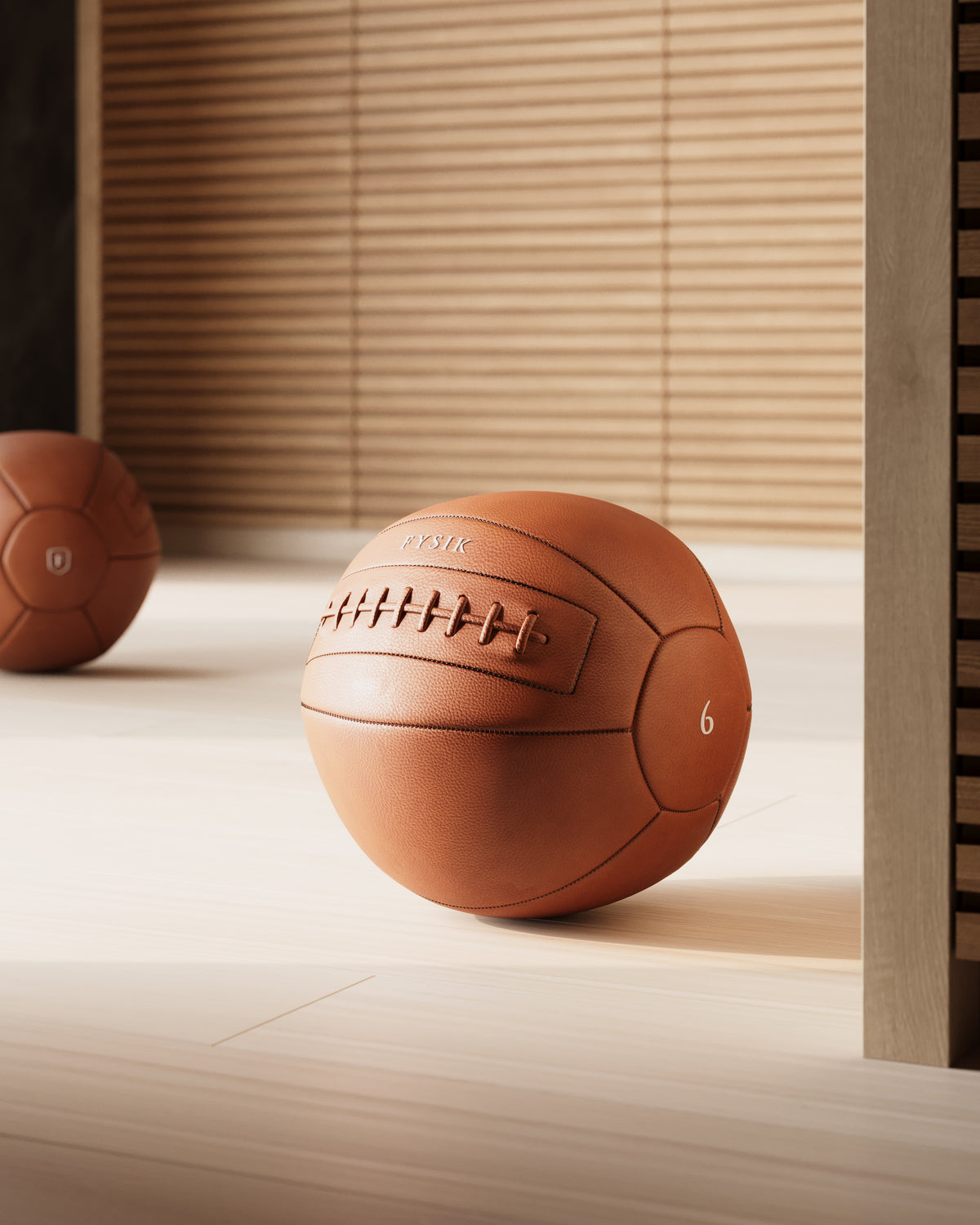 BONN™ | medicine ball