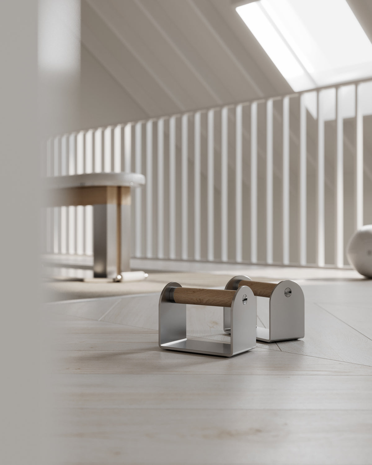 DANN™ | push-up bar
