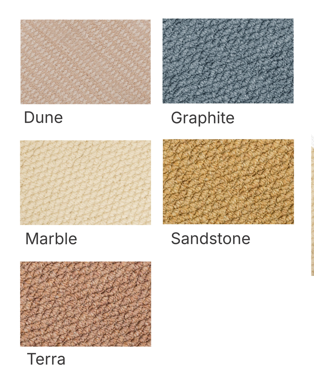 PROM™ | training rug