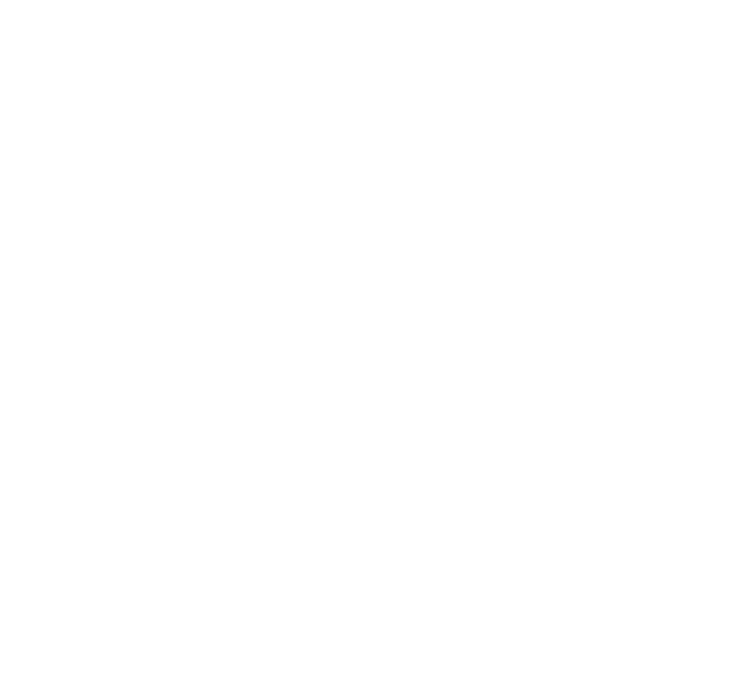 FYSIK